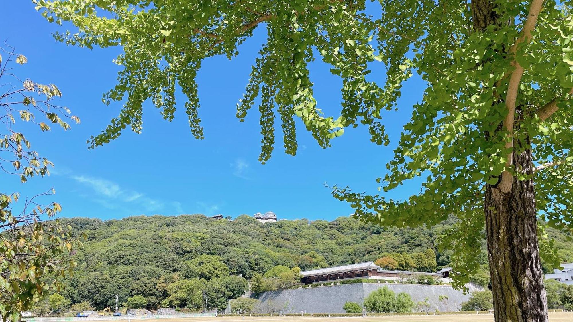 Ref Matsuyama City Station By Vessel Hotels Exterior foto